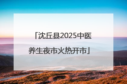 沈丘县2025中医养生夜市火热开市